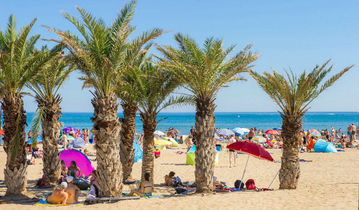 Falaise Narbonne Plage Linguadoca-Rossiglione - Narbonne-Plage visuel 2/17