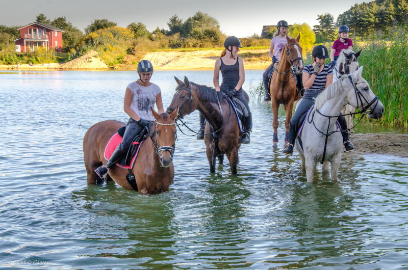Ferienpark Geesthof Bassa Sassonia - Hechthausen visuel 4/4 Ferienpark Geesthof Bassa Sassonia - Hechthausen visuel 4/4