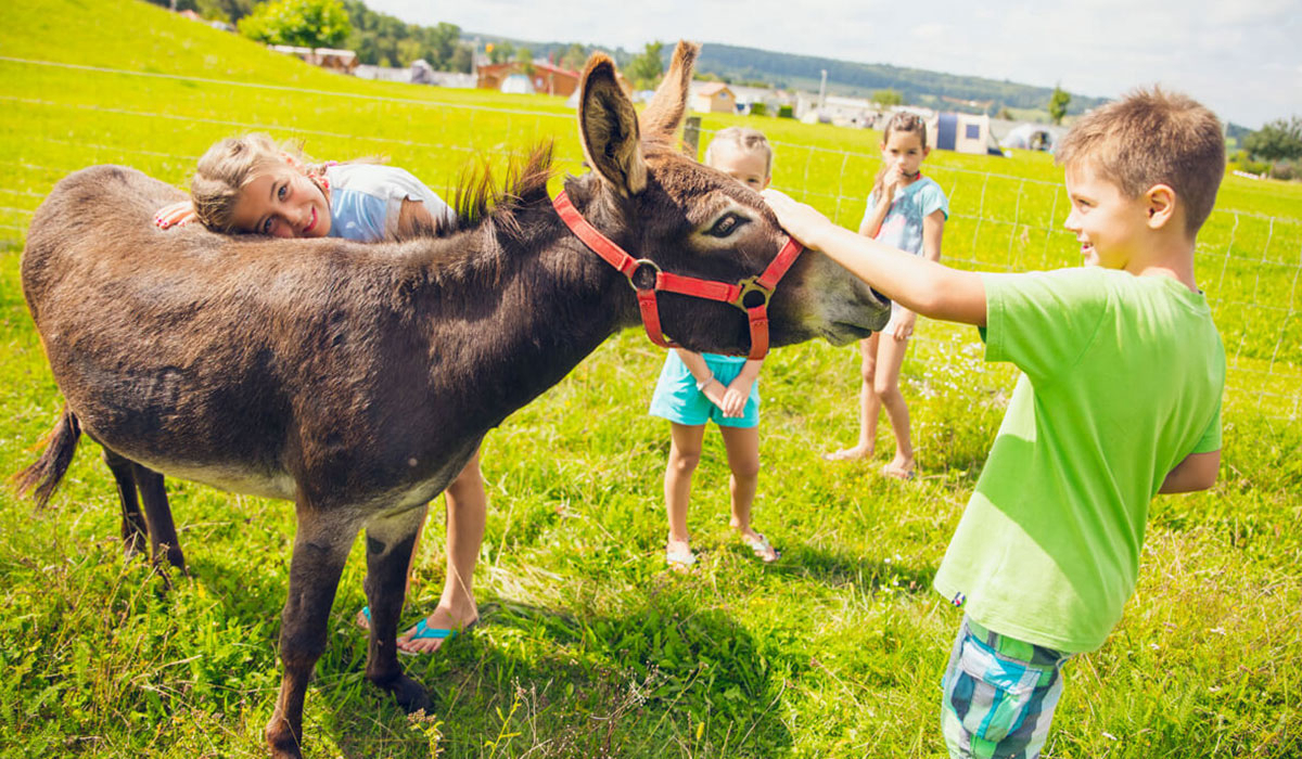 Ferienpark Orsingen Baden-Württemberg - orsingen visuel 4/5