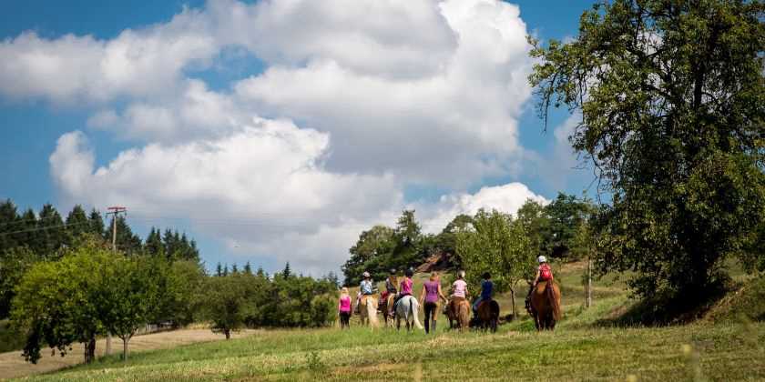 Ferienpark Teichmann Assia - Vöhl visuel 4/5 Ferienpark Teichmann Assia - Vöhl visuel 4/5