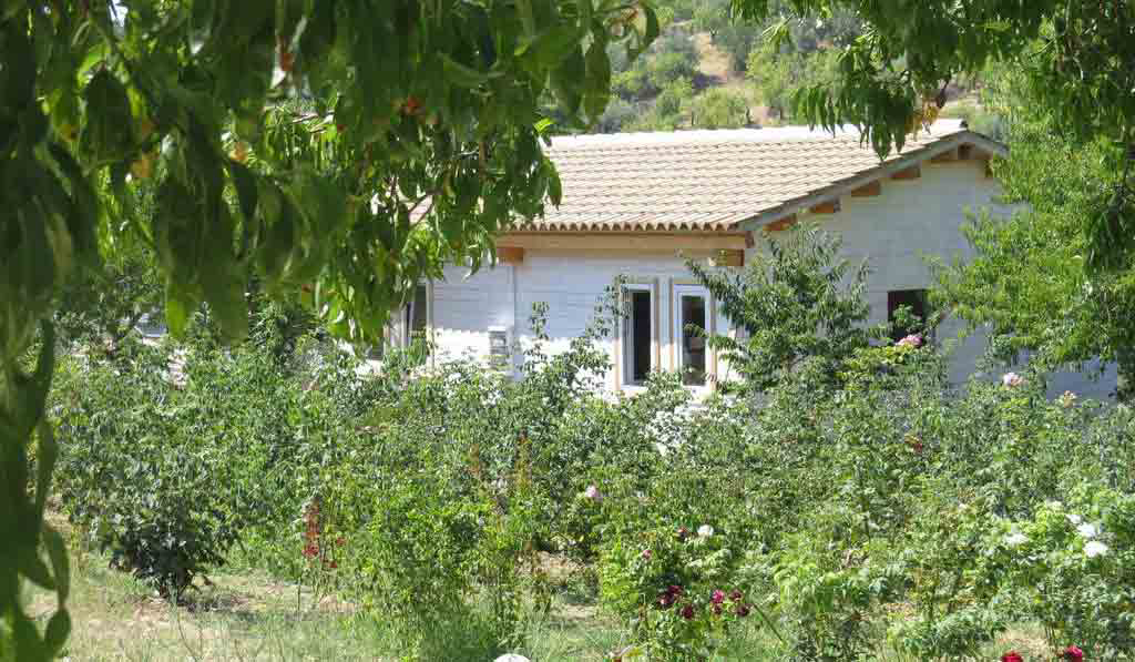 Fiori di Noto Sicilia - Noto visuel 3/3