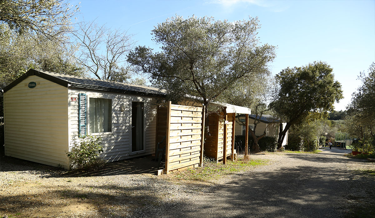 Fondespierre Linguadoca-Rossiglione - Castries visuel 10/20