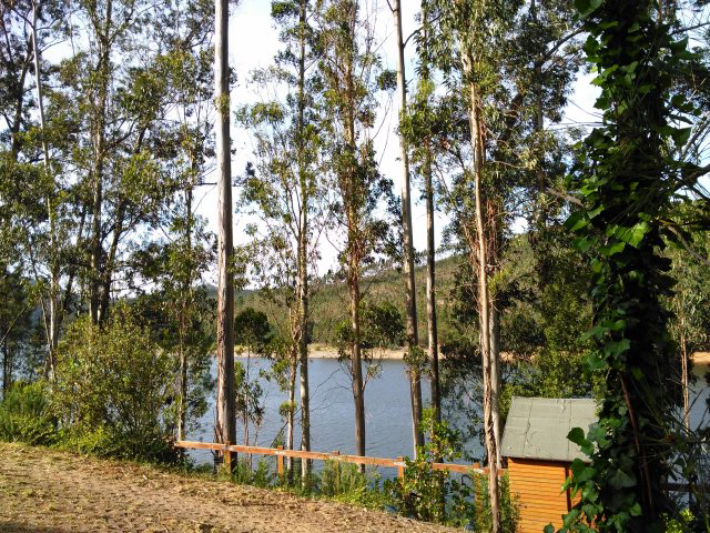 Foz de Alge Centro - Figueiró dos Vinhos visuel 3/4