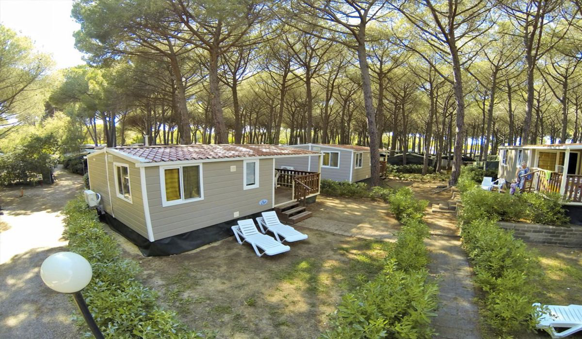 Free Beach Toscana - Marina di Bibbona visuel 5/8 Free Beach Toscana - Marina di Bibbona visuel 5/8