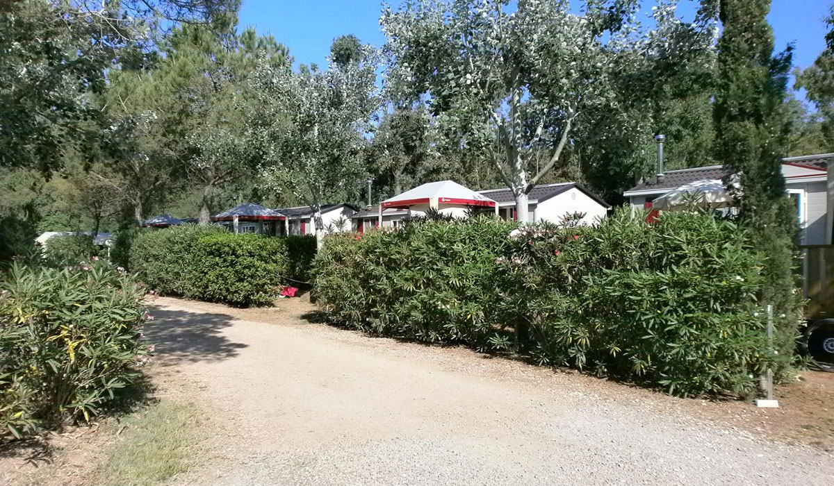 Free Time Toscana - Marina di Bibbona visuel 11/13 Free Time Toscana - Marina di Bibbona visuel 11/13