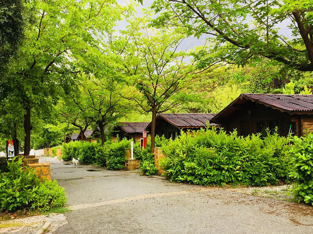 Fuente del Lobo Andalusia - Pinos Genil visuel 3/3