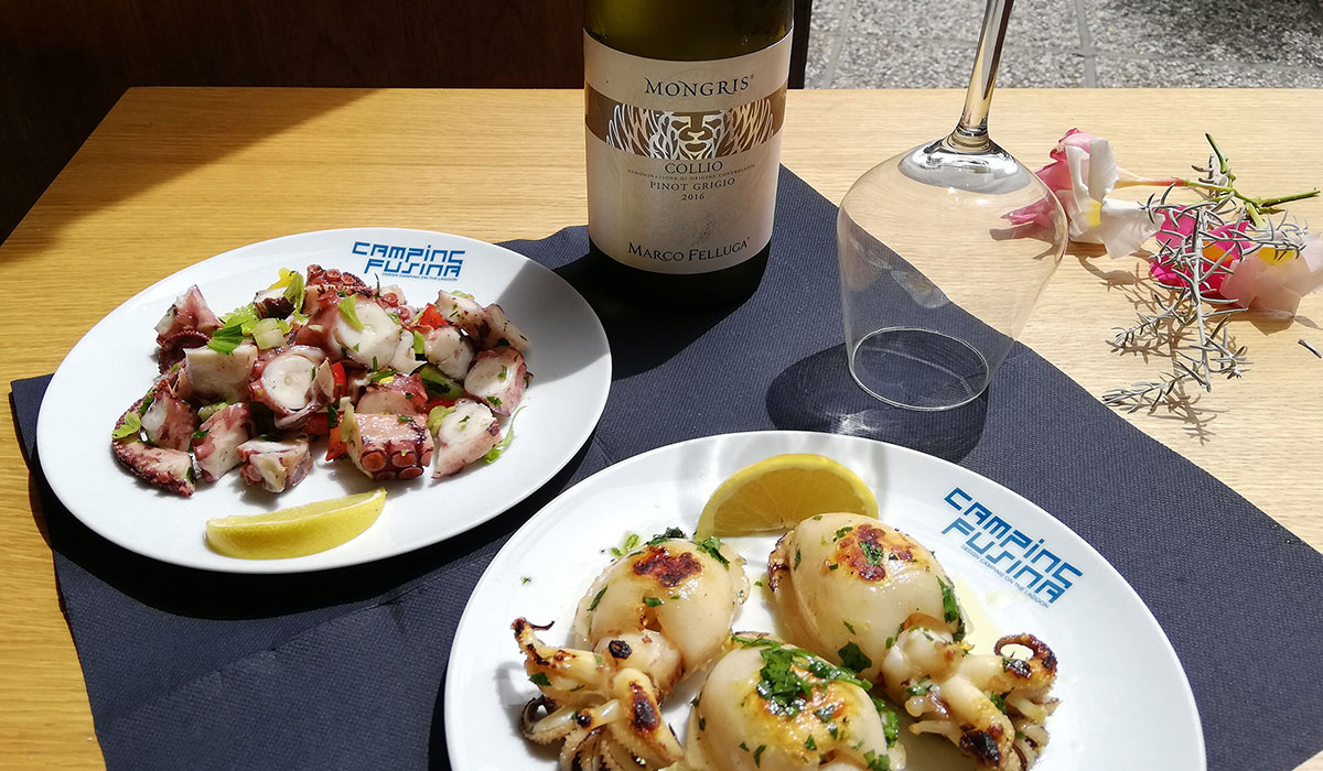 Fusina Veneto - Venise visuel 3/4 Fusina Veneto - Venise visuel 3/4