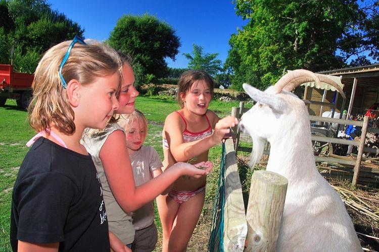 Haliotis Bassa Normandia - Pontorson visuel 3/14