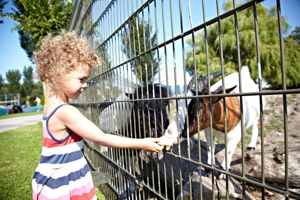 Hindeloopen Frisia - Hindeloopen visuel 4/5
