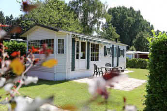 Houtum Anversa - Kasterlee visuel 7/7 Houtum Anversa - Kasterlee visuel 7/7