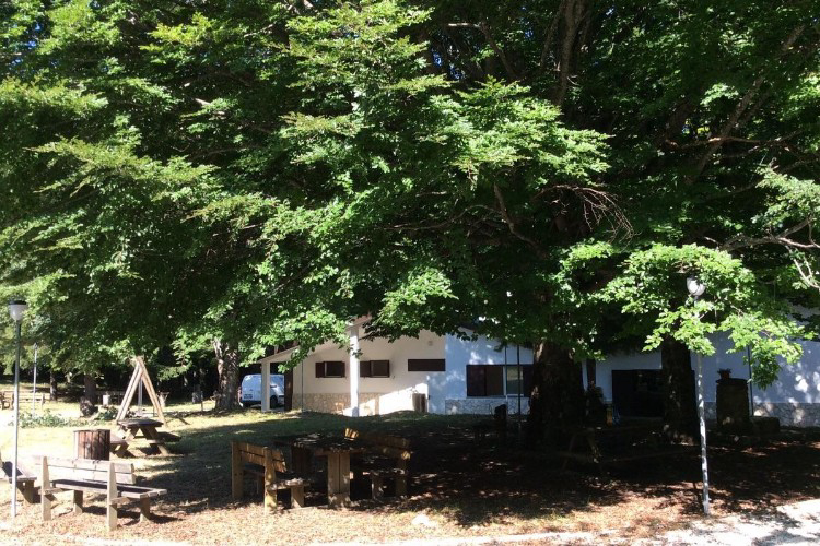 Il Ceppo Abruzzo - Teramo visuel 6/6