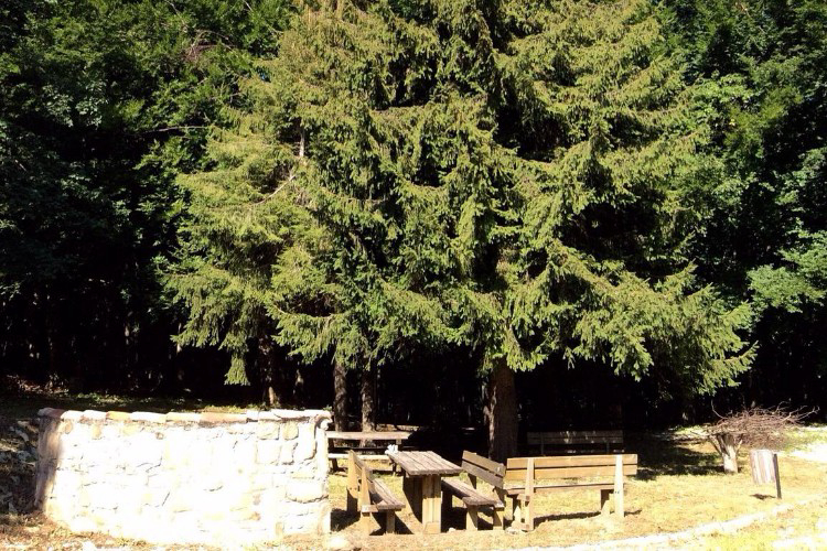 Il Ceppo Abruzzo - Teramo visuel 5/6