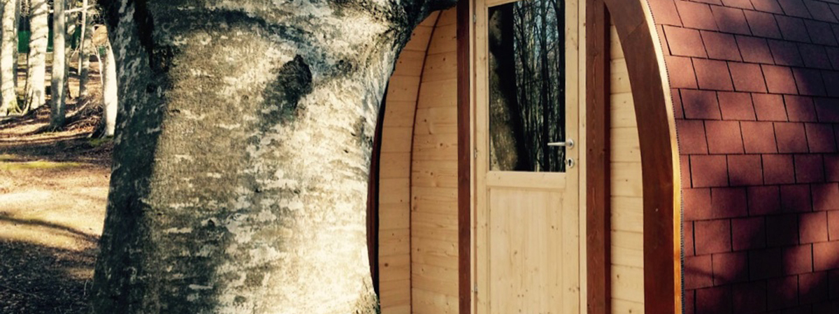 Il Ceppo Abruzzo - Teramo visuel 1/6