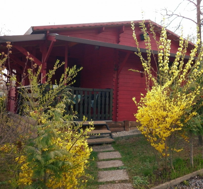 Il Melo Piemonte - Peveragno visuel 3/4 Il Melo Piemonte - Peveragno visuel 3/4