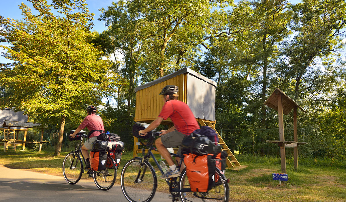 Ile d'Offard Paesi della Loira - Saumur visuel 8/22 Ile d'Offard Paesi della Loira - Saumur visuel 8/22