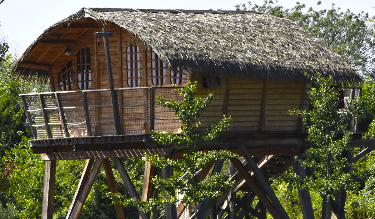 International de Maisons-Laffitte Île-de-France - Maisons-Laffitte visuel 22/25