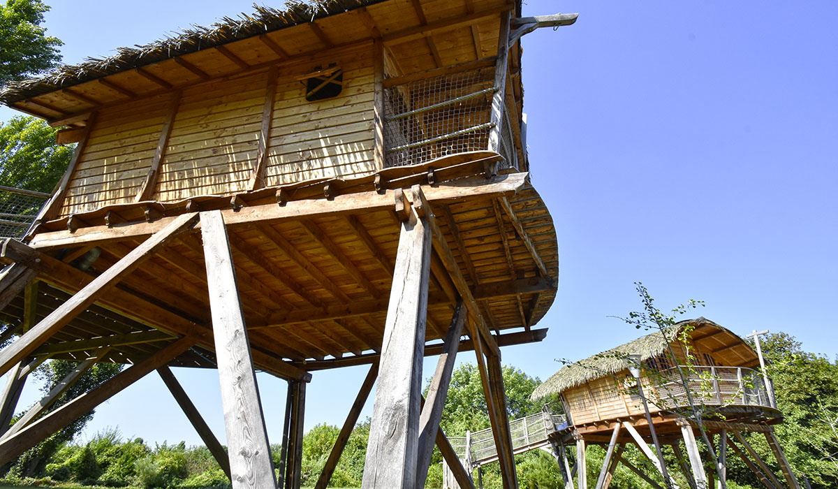 International de Maisons-Laffitte Île-de-France - Maisons-Laffitte visuel 8/25