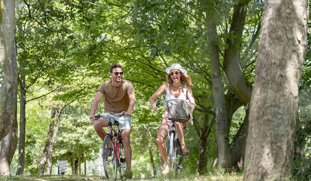 International de Maisons-Laffitte Île-de-France - Maisons-Laffitte visuel 15/25