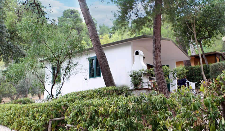 Internazionale San Menaio Puglia - Vico del Gargano visuel 8/8 Internazionale San Menaio Puglia - Vico del Gargano visuel 8/8