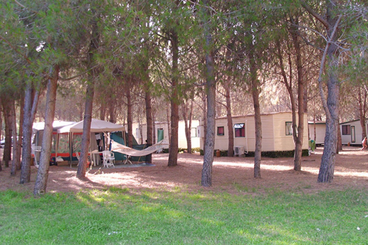 Iscrixedda Sardegna - Lotzorai visuel 5/8