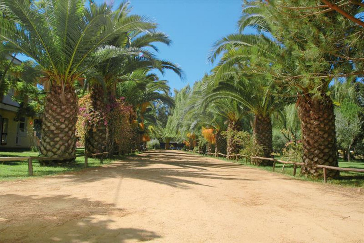 Iscrixedda Sardegna - Lotzorai visuel 8/8