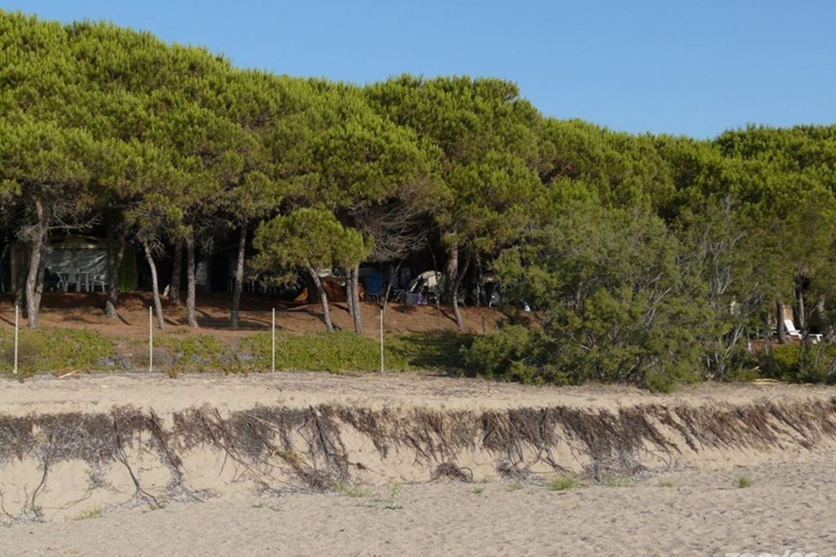 Iscrixedda Sardegna - Lotzorai visuel 4/8