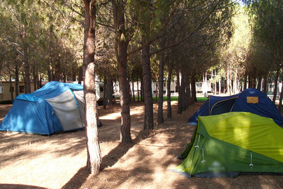 Iscrixedda Sardegna - Lotzorai visuel 6/8