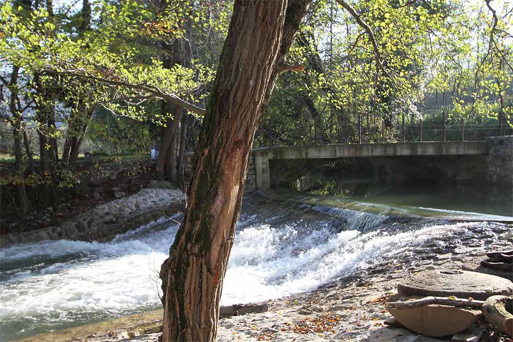 Kamp Dujceva Domacija Istria Slovena - Divača visuel 3/3