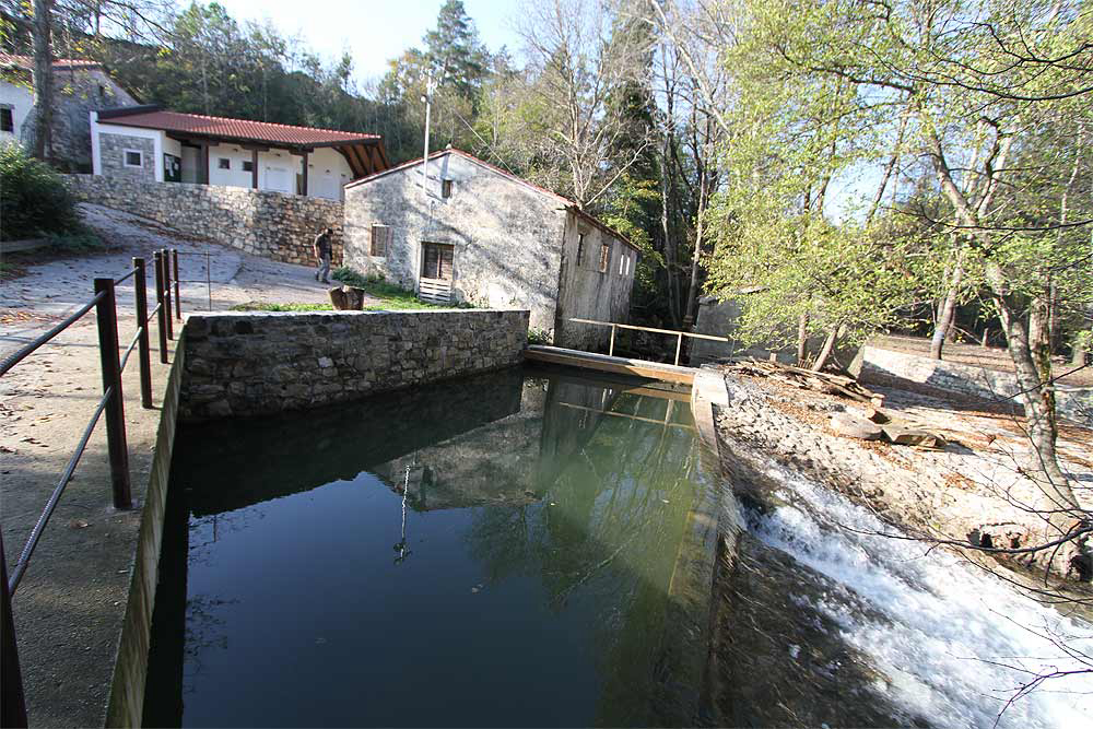 Kamp Dujceva Domacija Istria Slovena - Divača visuel 2/3