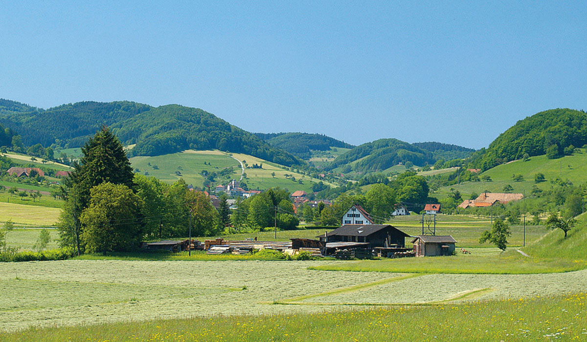 Kinzigtal Baden-Württemberg - steinach visuel 4/4