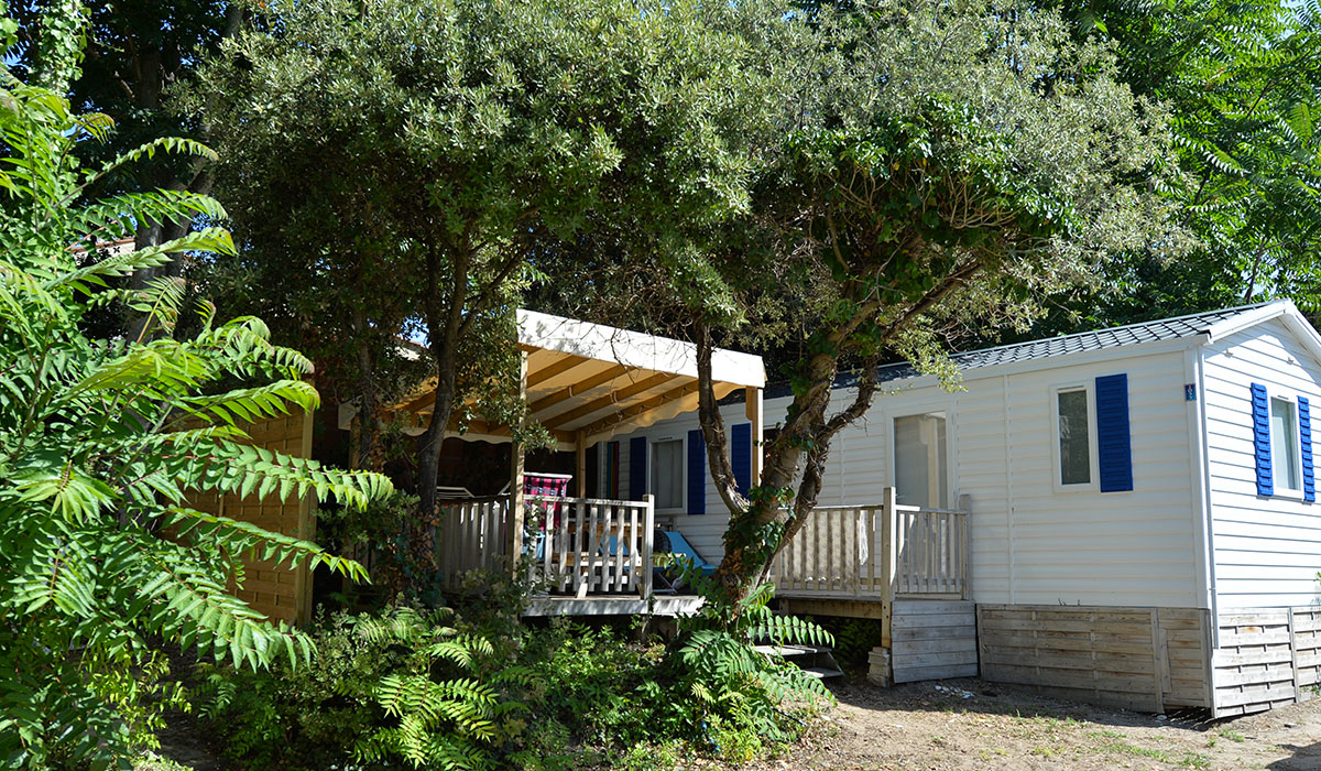 L'Anse des Pins Poitou-Charentes - Saint-Georges-d'Oléron visuel 9/15