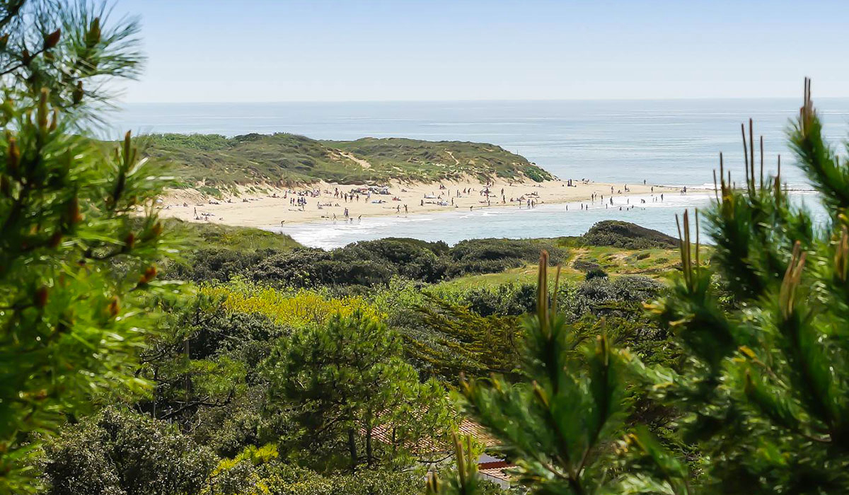 L'Anse des Pins Poitou-Charentes - Saint-Georges-d'Oléron visuel 15/15