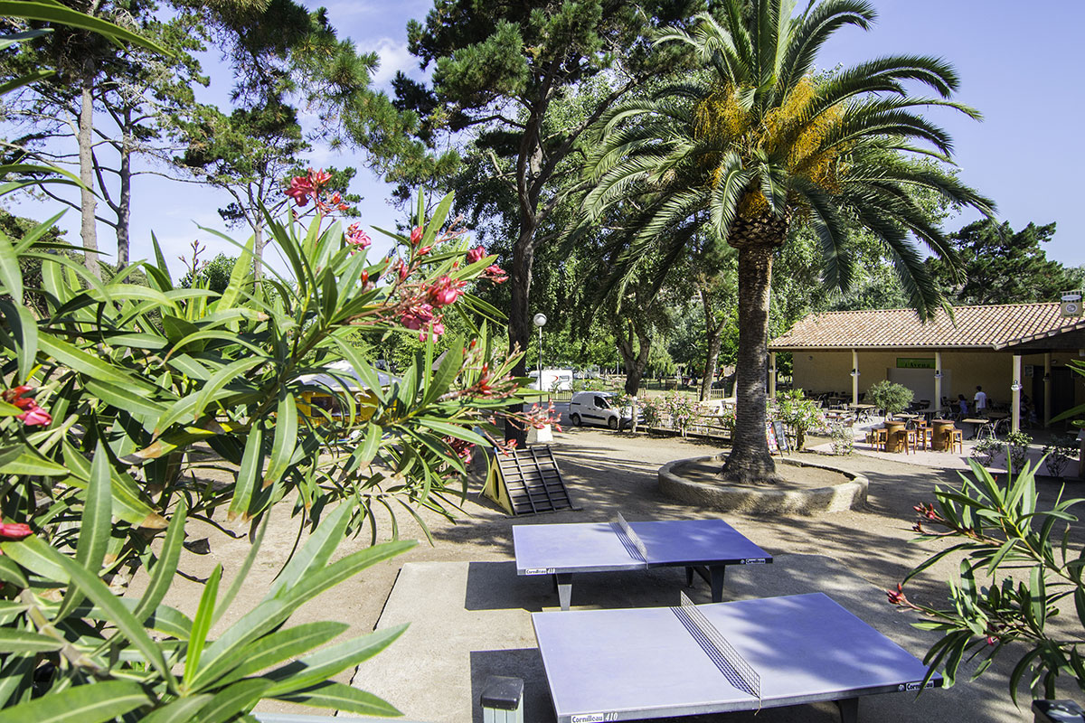 L'Avéna Corsica - Sartène visuel 6/8