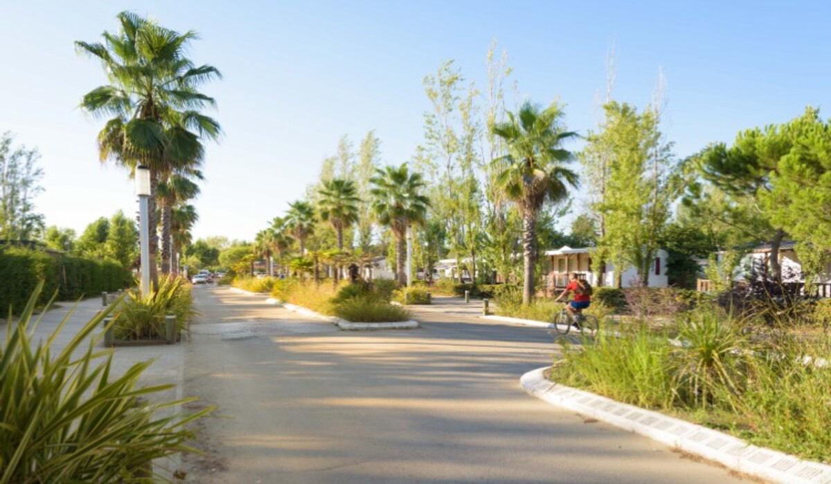 L'Espiguette Linguadoca-Rossiglione - Le Grau-du-Roi visuel 12/14