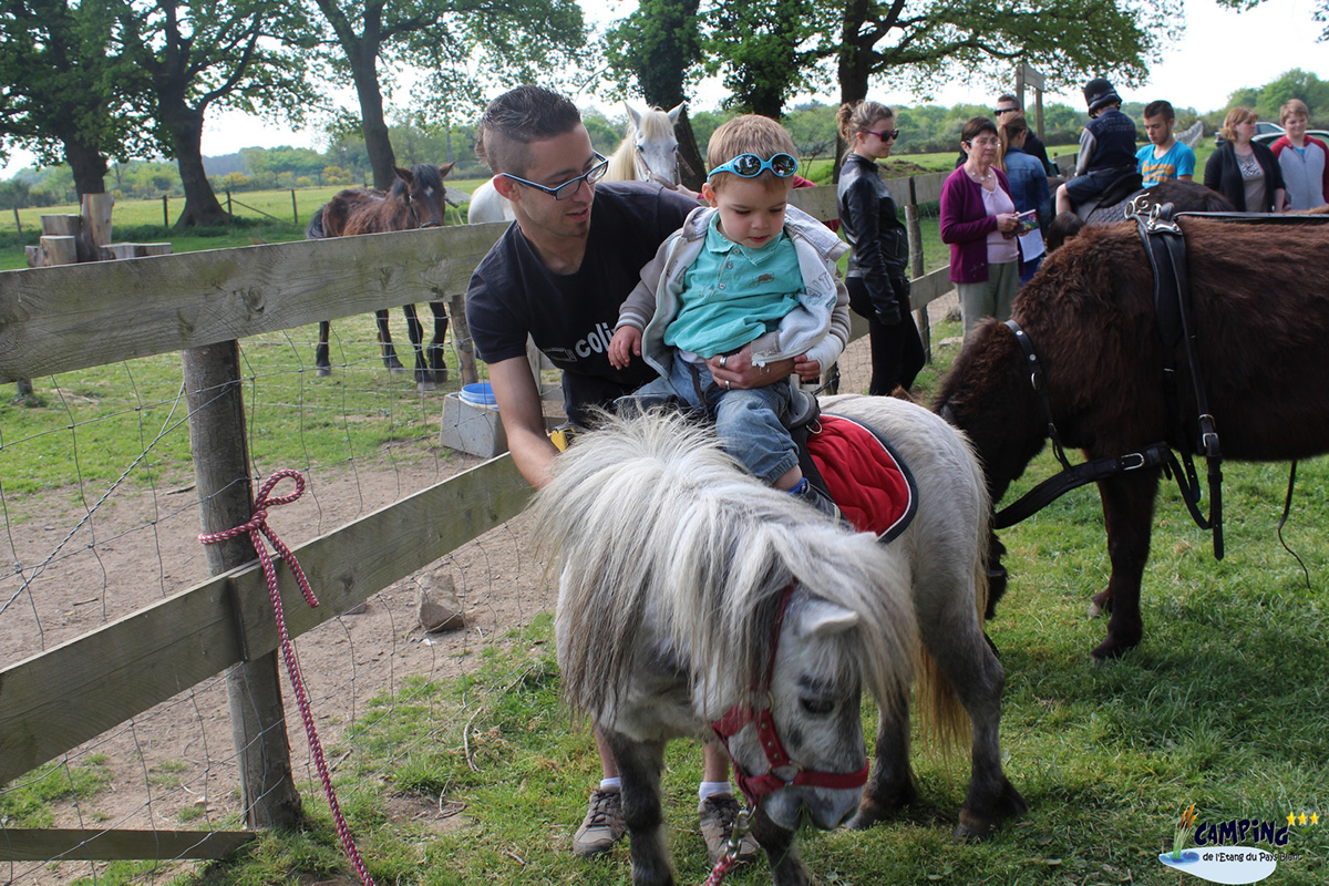 L'Etang du Pays Blanc Paesi della Loira - Guérande visuel 22/26