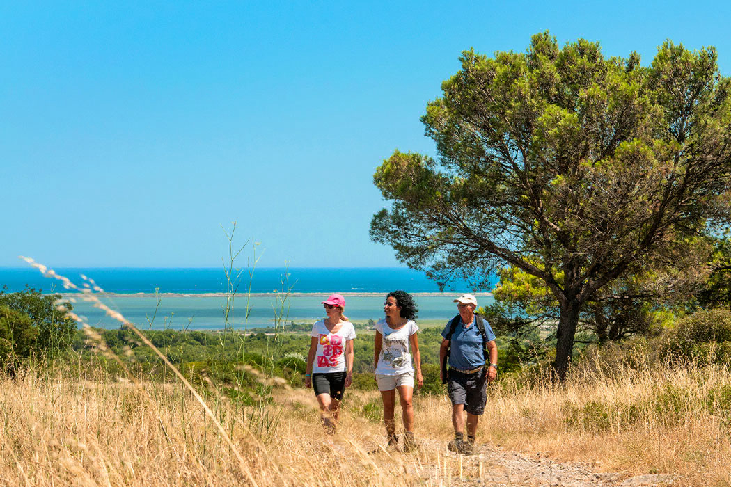 L'Europe Linguadoca-Rossiglione - Vic-la-Gardiole visuel 2/15