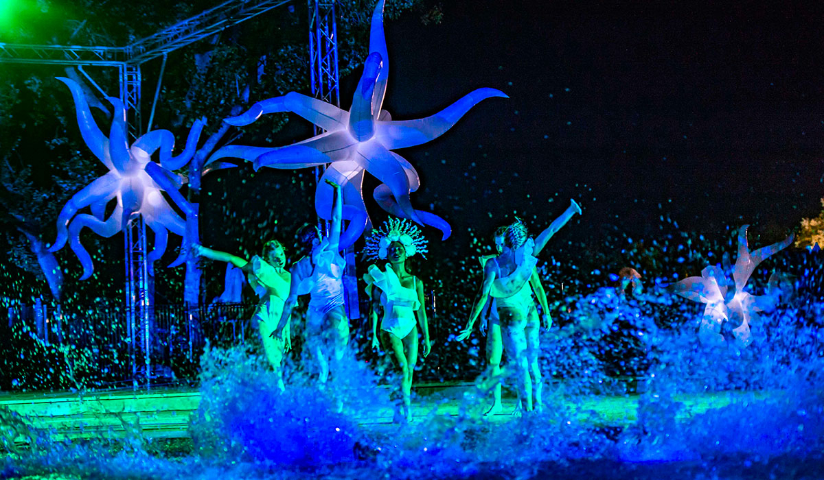 L'Hippocampe Provenza-Alpi-Costa Azzurra - Volonne visuel 29/36