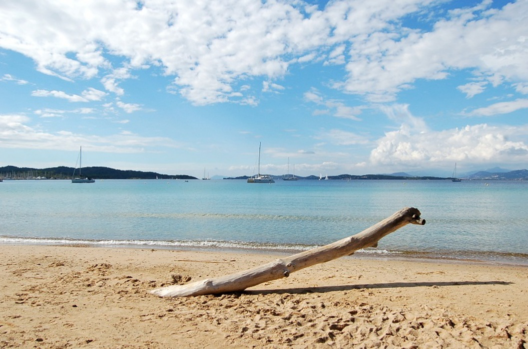 L'Ile d'Or Provenza-Alpi-Costa Azzurra - Hyères visuel 3/32 L'Ile d'Or Provenza-Alpi-Costa Azzurra - Hyères visuel 3/32