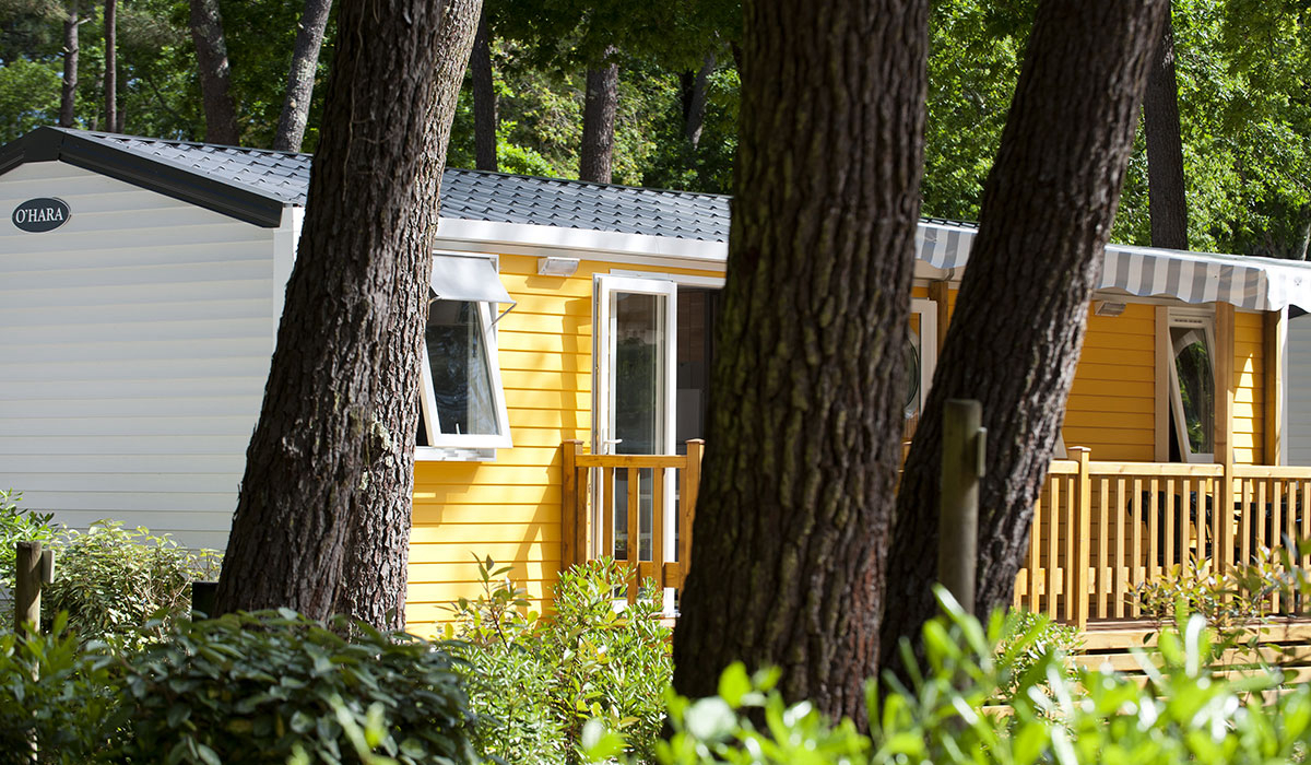 L'Orée du Bois Poitou-Charentes - Les Mathes-La Palmyre visuel 27/28 L'Orée du Bois Poitou-Charentes - Les Mathes-La Palmyre visuel 27/28