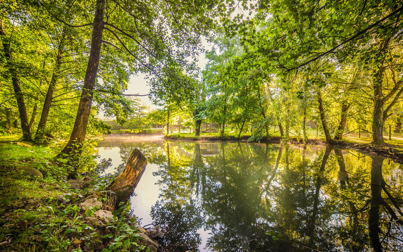 L'imprevu Rodano-Alpi - Vaulnaveys-le-Bas visuel 13/15