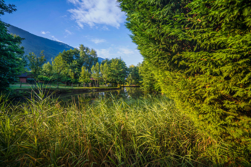 L'imprevu Rodano-Alpi - Vaulnaveys-le-Bas visuel 14/15