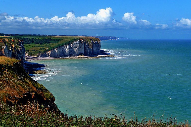 l'Oiseau Blanc Alta Normandia - Sassetot-le-Mauconduit visuel 3/3 l'Oiseau Blanc Alta Normandia - Sassetot-le-Mauconduit visuel 3/3
