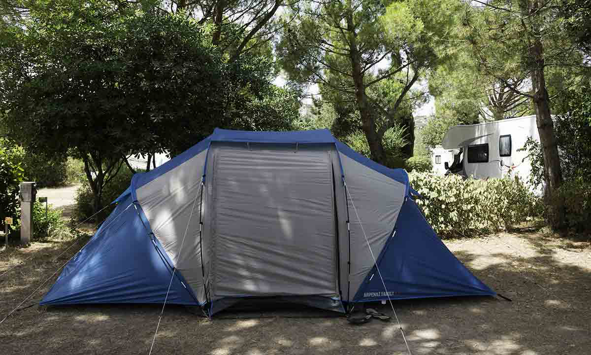L'île des Papes Linguadoca-Rossiglione - Villeneuve-lès-Avignon visuel 12/12
