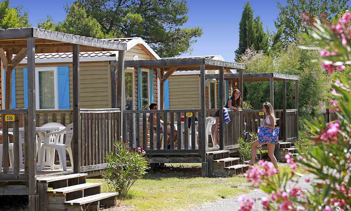 L'île des Papes Linguadoca-Rossiglione - Villeneuve-lès-Avignon visuel 2/12