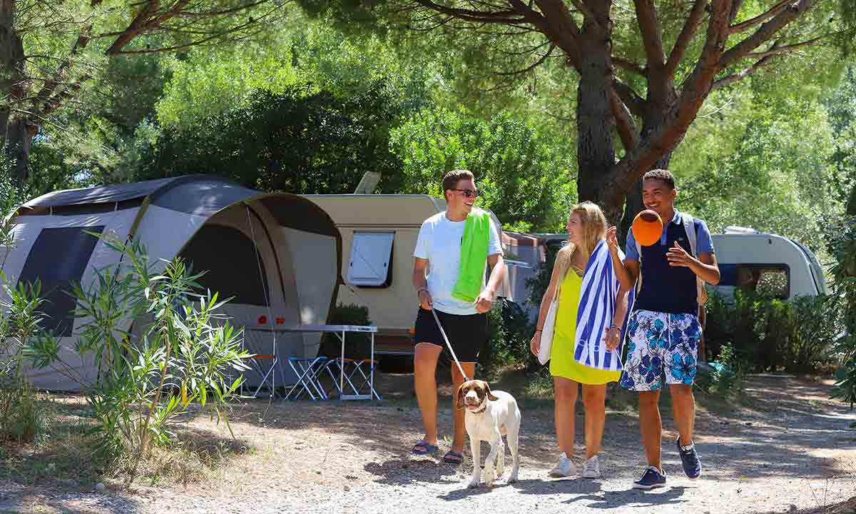 L'île des Papes Linguadoca-Rossiglione - Villeneuve-lès-Avignon visuel 10/12