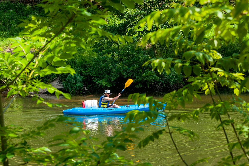 La Boissière Midi-Pirenei - Saint-Geniez-d'Olt visuel 7/9 La Boissière Midi-Pirenei - Saint-Geniez-d'Olt visuel 7/9