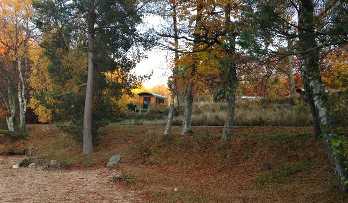 La Cabane Verte Bourgogne - Moux-en-Morvan visuel 2/4