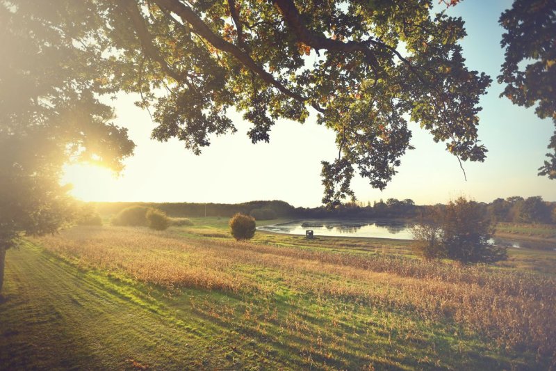 Domaine la Chouette Cabane Paesi della Loira - Pommerieux visuel 13/18