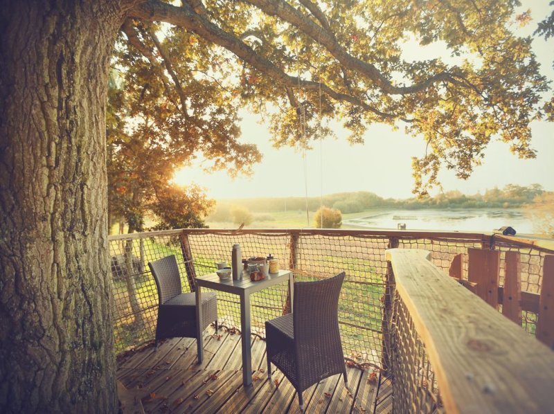 Domaine la Chouette Cabane Paesi della Loira - Pommerieux visuel 12/18