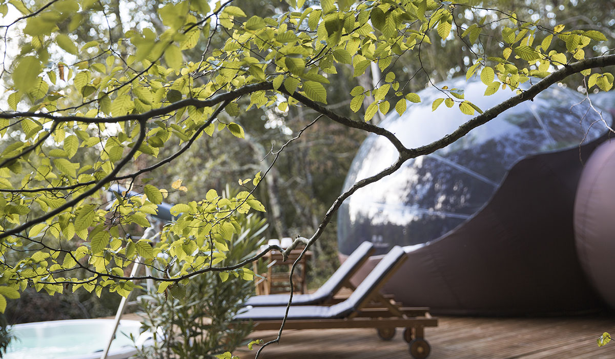 La Chrysalide  Château de Saint-Martin - Aquitania - Carcans visuel 2/6 La Chrysalide  Château de Saint-Martin - Aquitania - Carcans visuel 2/6